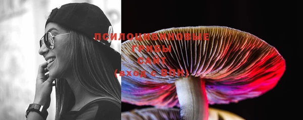 PSILOCYBIN Алексеевка