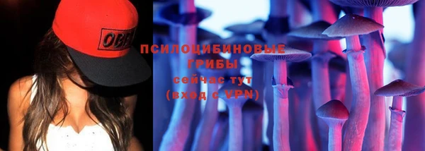 твердый Надым