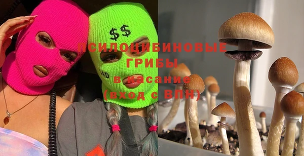 кристаллы Алексин