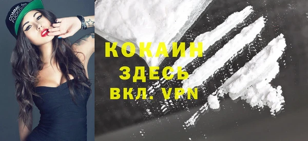 твердый Надым