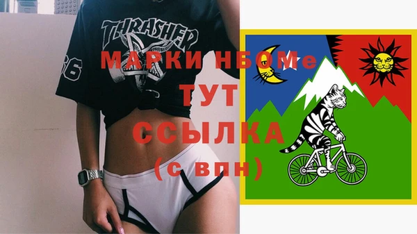 твердый Надым