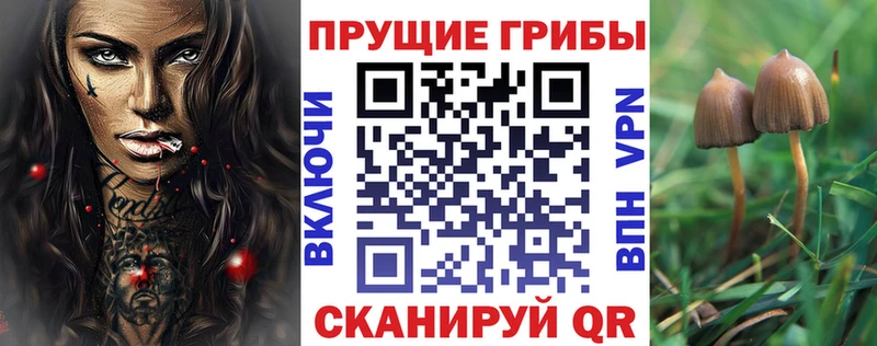 Галлюциногенные грибы ЛСД  Юрьевец 