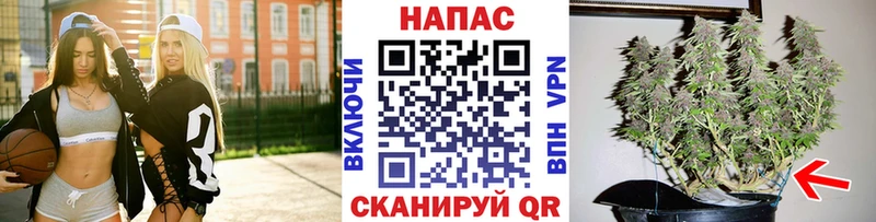 Марихуана Ganja  блэк спрут как зайти  Юрьевец 